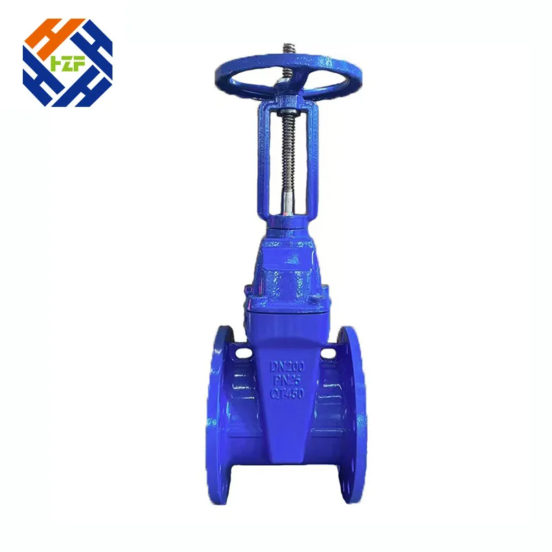 Ductile რკინის Flange კარიბჭე სარქველი